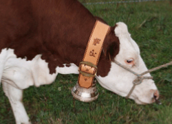 Courroie en cuir dcore pour une cloche de vache en bronze